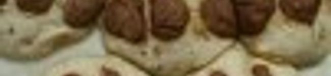 めいまーる's header image