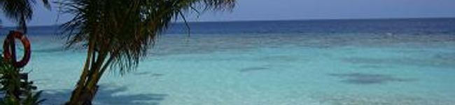 huriyu's header image