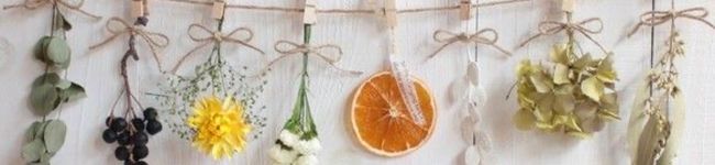 mahorin_'s header image