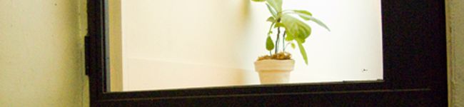 hikun355's header image