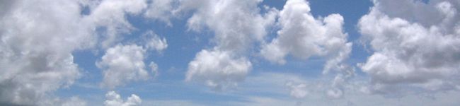 にゃるみん's header image
