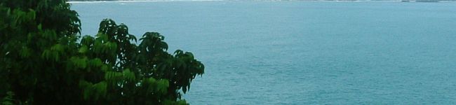 tomokasuki's header image