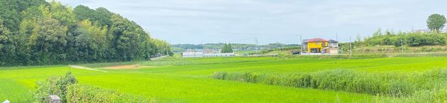 すぼら's header image