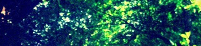 ﾂﾌﾞ's header image