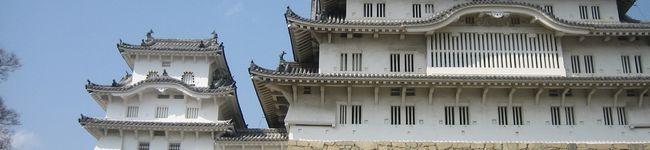 春水蕾's header image