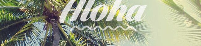 portus's header image