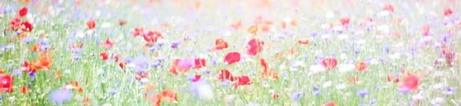 chaキッチン's header image