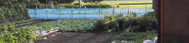 ヒューゴボス's header image