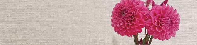 momoko418's header image