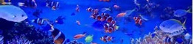 クックsmileAB's header image