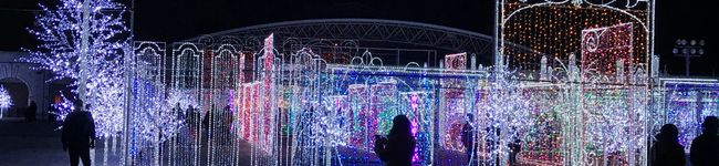 みかん☆彡's header image