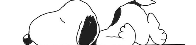 イブヒヨちゃん's header image