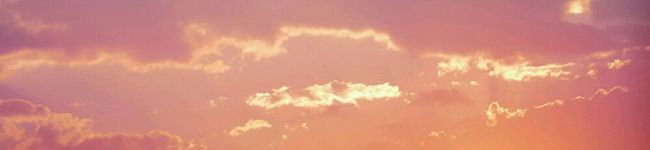まえのめりッコ's header image
