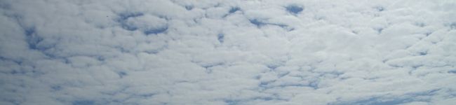 mizusheep's header image
