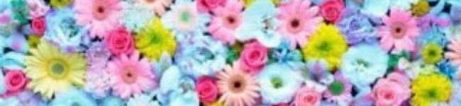 ♡ぷぅこ♡'s header image