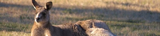 tadnyc's header image