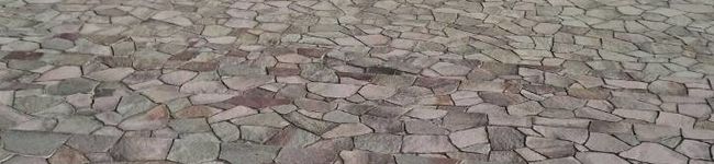 ポメ食道's header image