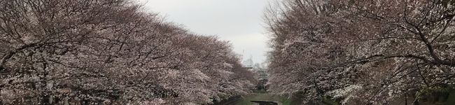 よっ♪'s header image