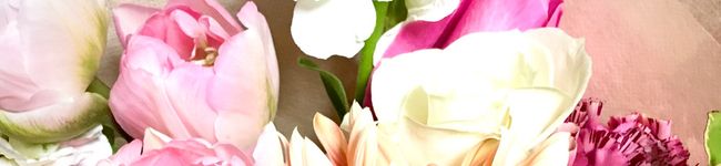 まんぺいさんのヨメ's header image
