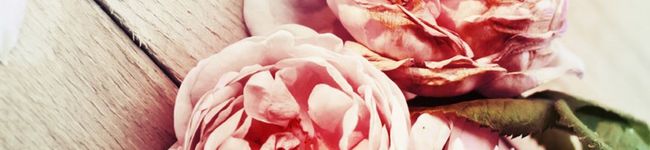 magmog373's header image