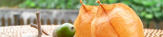 alohabell's header image