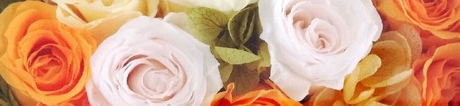 和嫁T☆'s header image