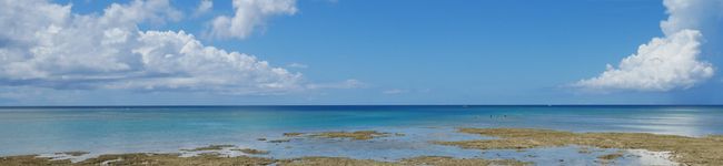 mina9244's header image