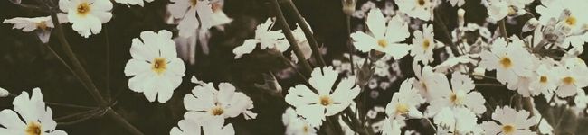 ちる⑭'s header image