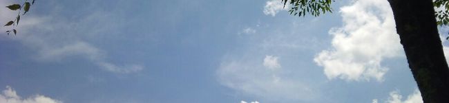 gami_gami's header image