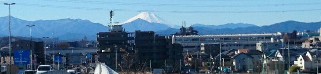 おがちん44's header image