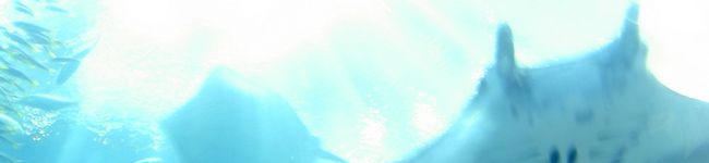 mightymax's header image