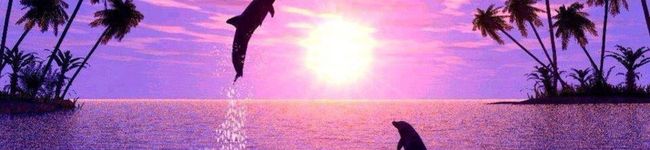S★M★A★R★K's header image