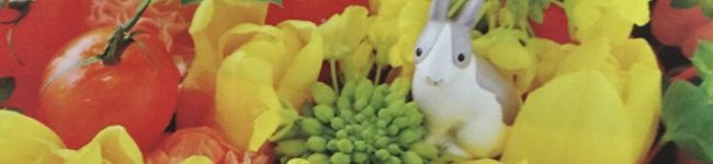 ♪ハンナポ♪'s header image