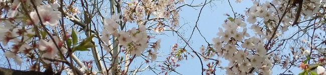 通りすがりのれの字's header image