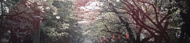 kensan___'s header image