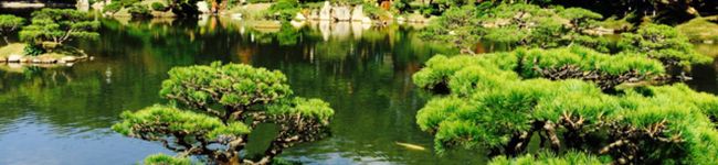 puriko43's header image