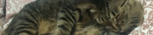 エンサン's header image