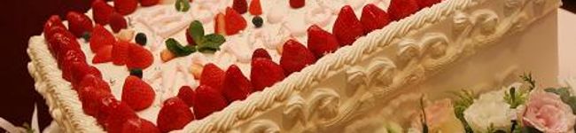 pupuchan72's header image