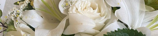 Kiwi♡'s header image