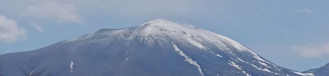 のぶきよりん's header image