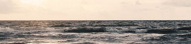 Mʕ•ᴥ•ʔ's header image