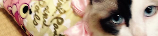 はいはい！'s header image