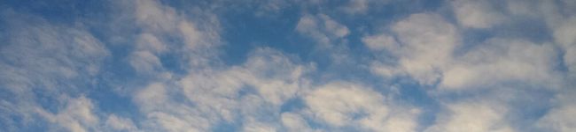 しみ♪'s header image