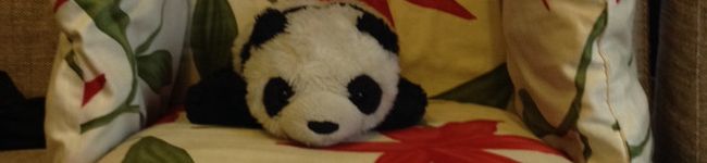 クーぱんこ:ぱんこ's header image