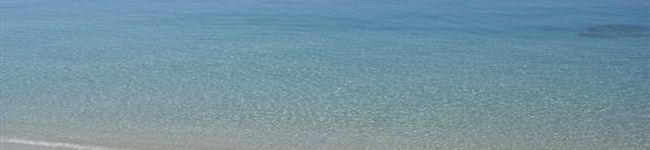 国分寺あい's header image