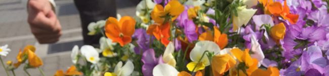 ポム1212's header image