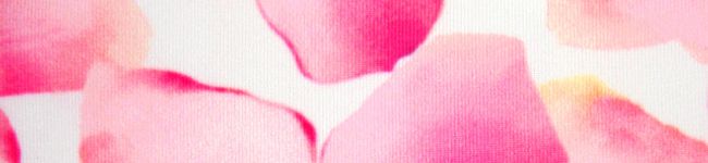 ♡ほっこり協会♡'s header image