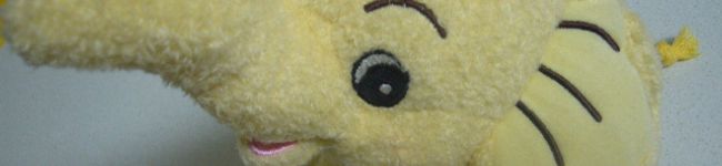 さちっちょ's header image