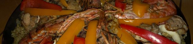 UZcampmesi's header image