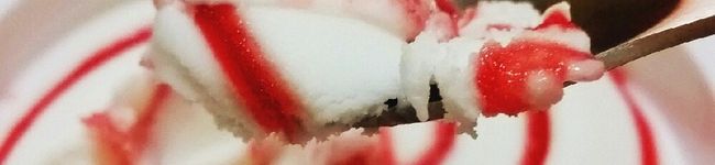 ＭＪにゃんこ先生's header image